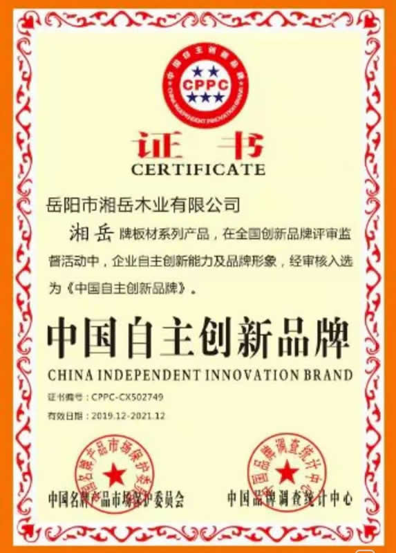 中国自主创新品牌